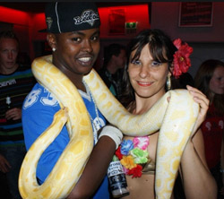 snake show